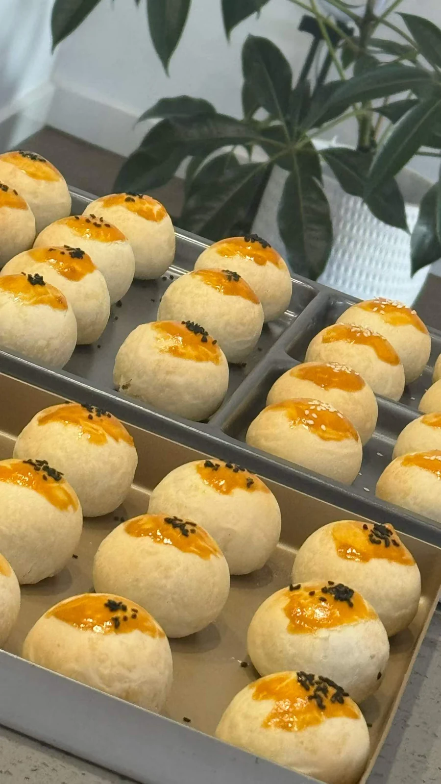 Freshly baked pastries arranged in trays